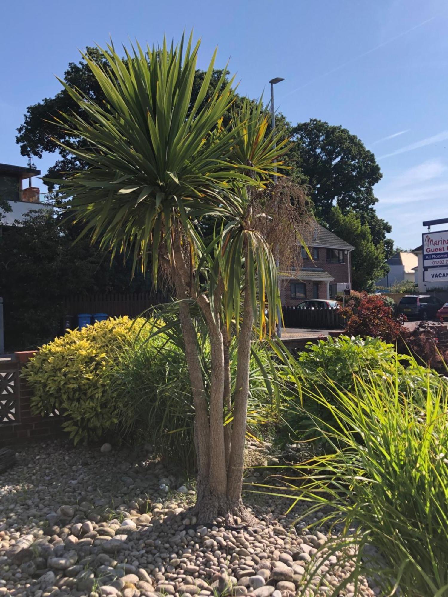 The Mariners Guest House Poole Exterior foto